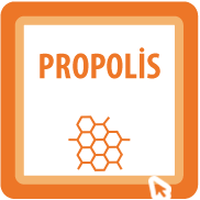 Propolis