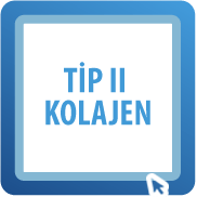 Tip II Kolejan