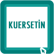 Kuersetin