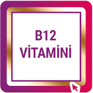 B12